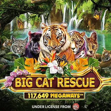 Big Cat Rescue MegaWays game tile