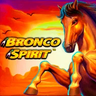 pragmaticexternal/BroncoSpirit