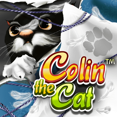 Colin The Cat