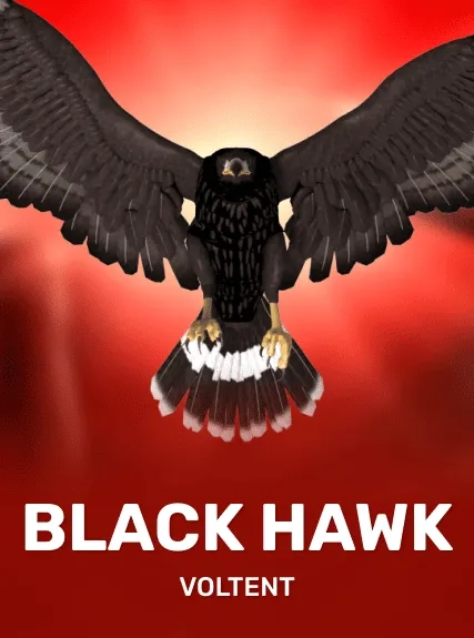 Black Hawk game tile