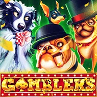 Gamblers game tile